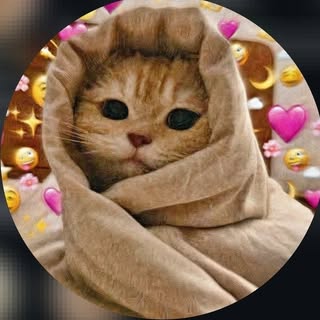 buy theme page