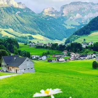 buy theme page