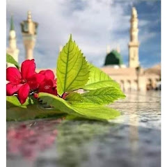buy  account ******* VIDEOS