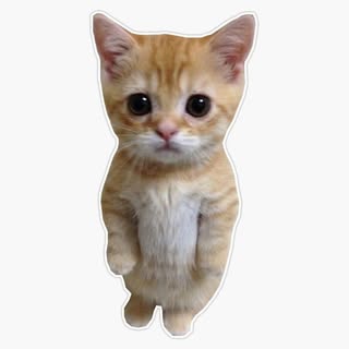 buy  account *****mesos