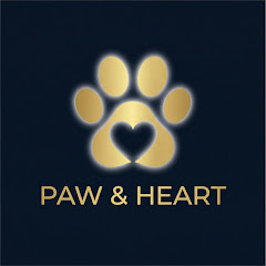 buy youtube channel