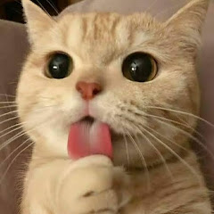 buy account ******oments buy account ******oments