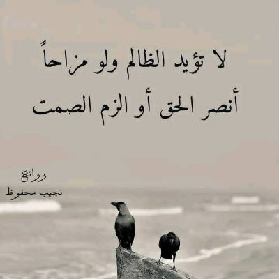 buy  account *****eragha