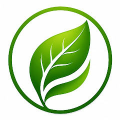 buy youtube channel