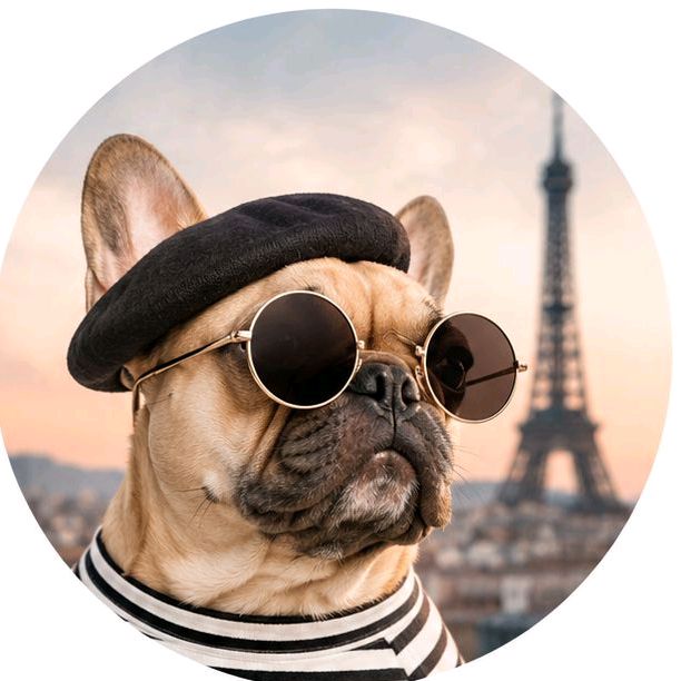 buy theme page *******edaiily