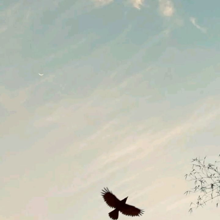 buy  account ******i.zaban