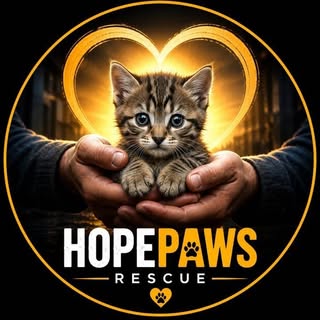 buy theme page ********rescue.3
