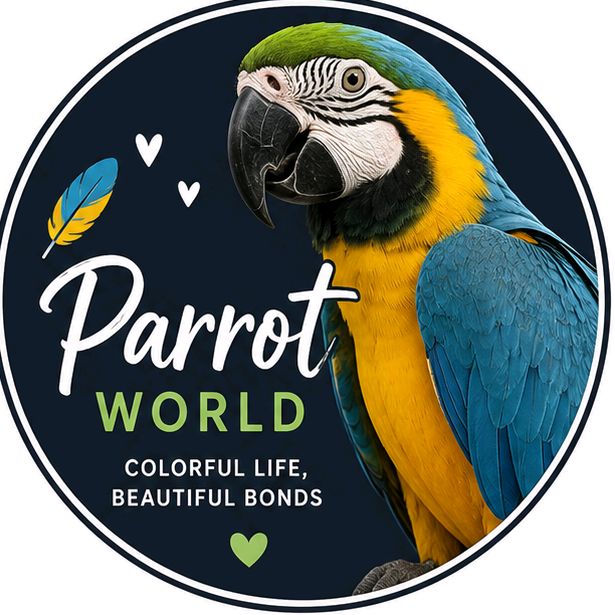 buy account ******planett buy account ******planett