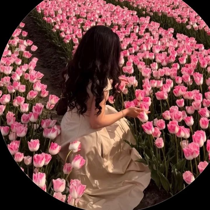 buy account ******dits117 buy account ******dits117