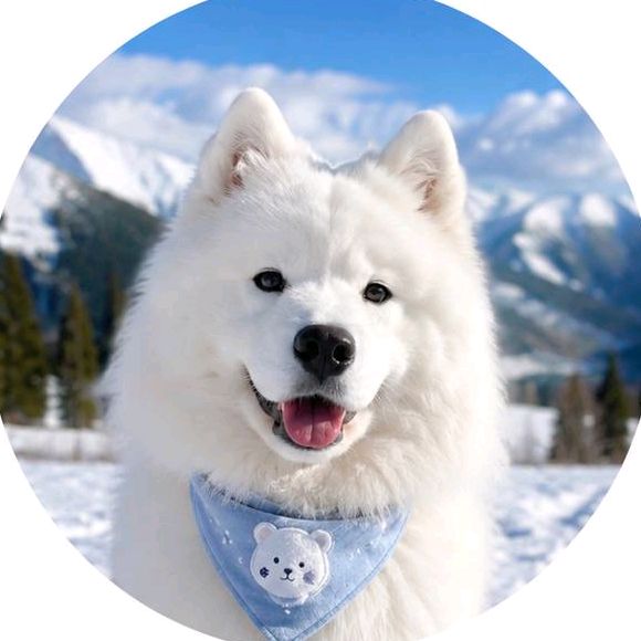 buy theme page ******amoyeed