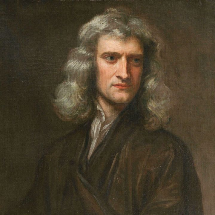 buy theme page *******_newton