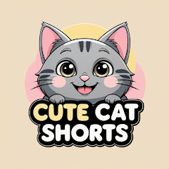 buy account *******t Shorts buy account *******t Shorts