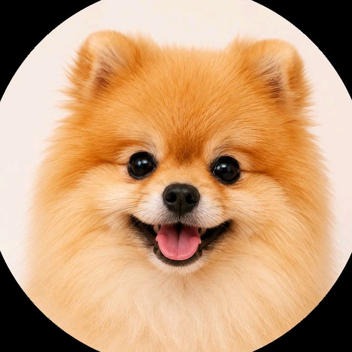 buy tiktok account