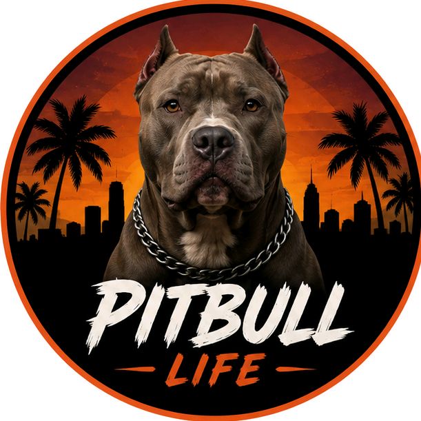 buy  account ******pitbull