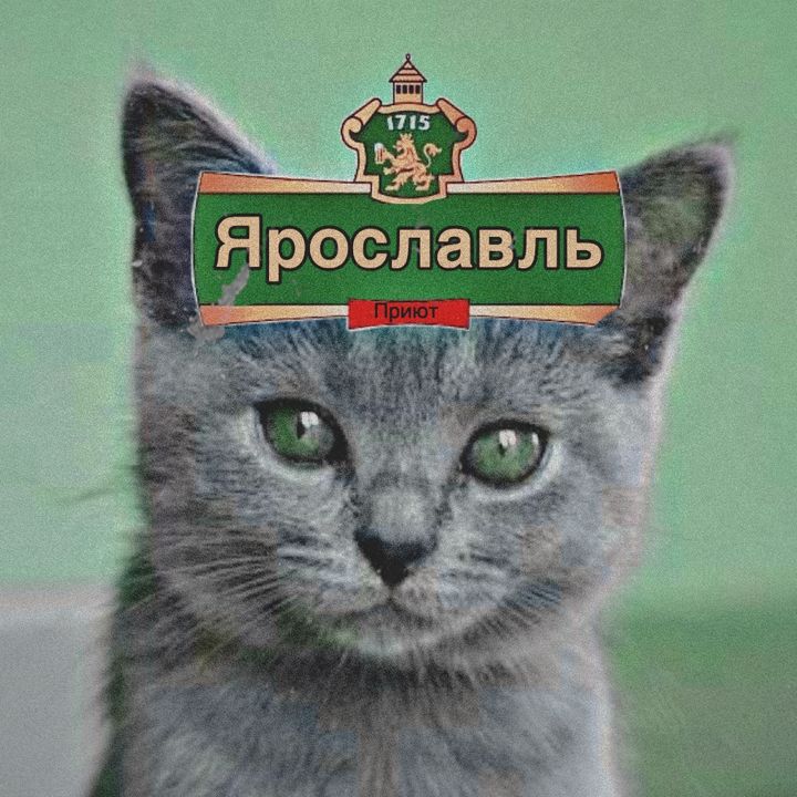 buy account *******vlpriut buy account *******vlpriut