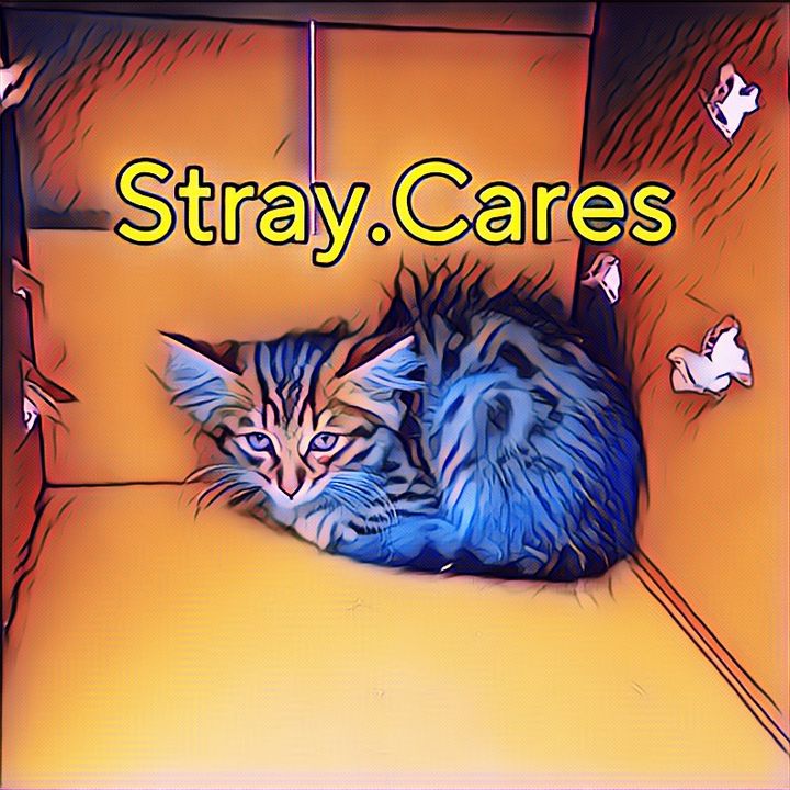 buy theme page ******cares11