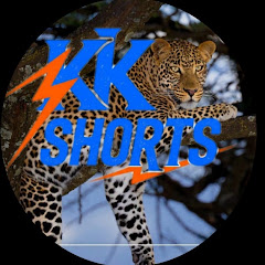 buy  account *****orts 