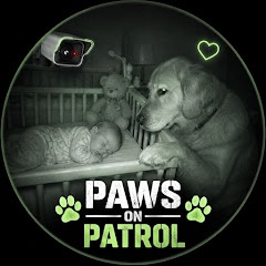buy  account ******* Patrol